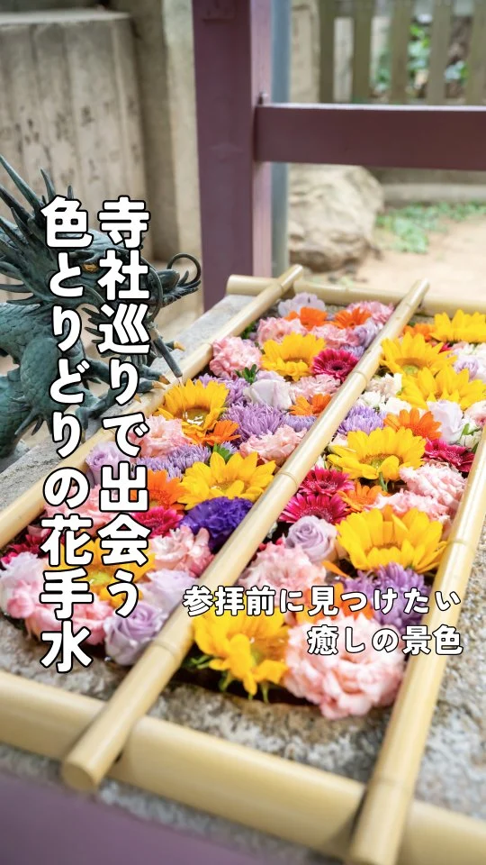 特別、花、御朱印、満願成就す 満願成就達成者一覧 – Osaka Metro花